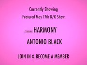 Shebang.TV - Harmony &amp;